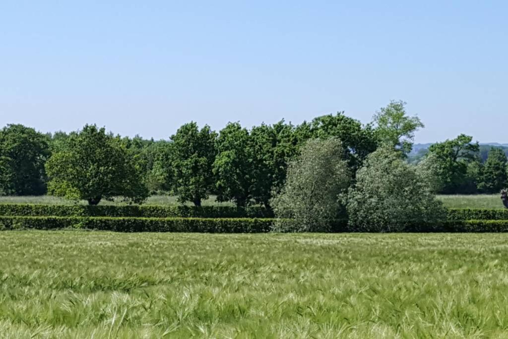 Gite Du Bocage Buysscheure Exterior foto